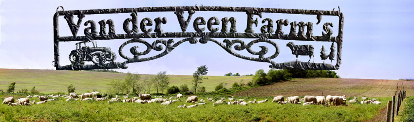 Panorama of the Vander Veen Farm